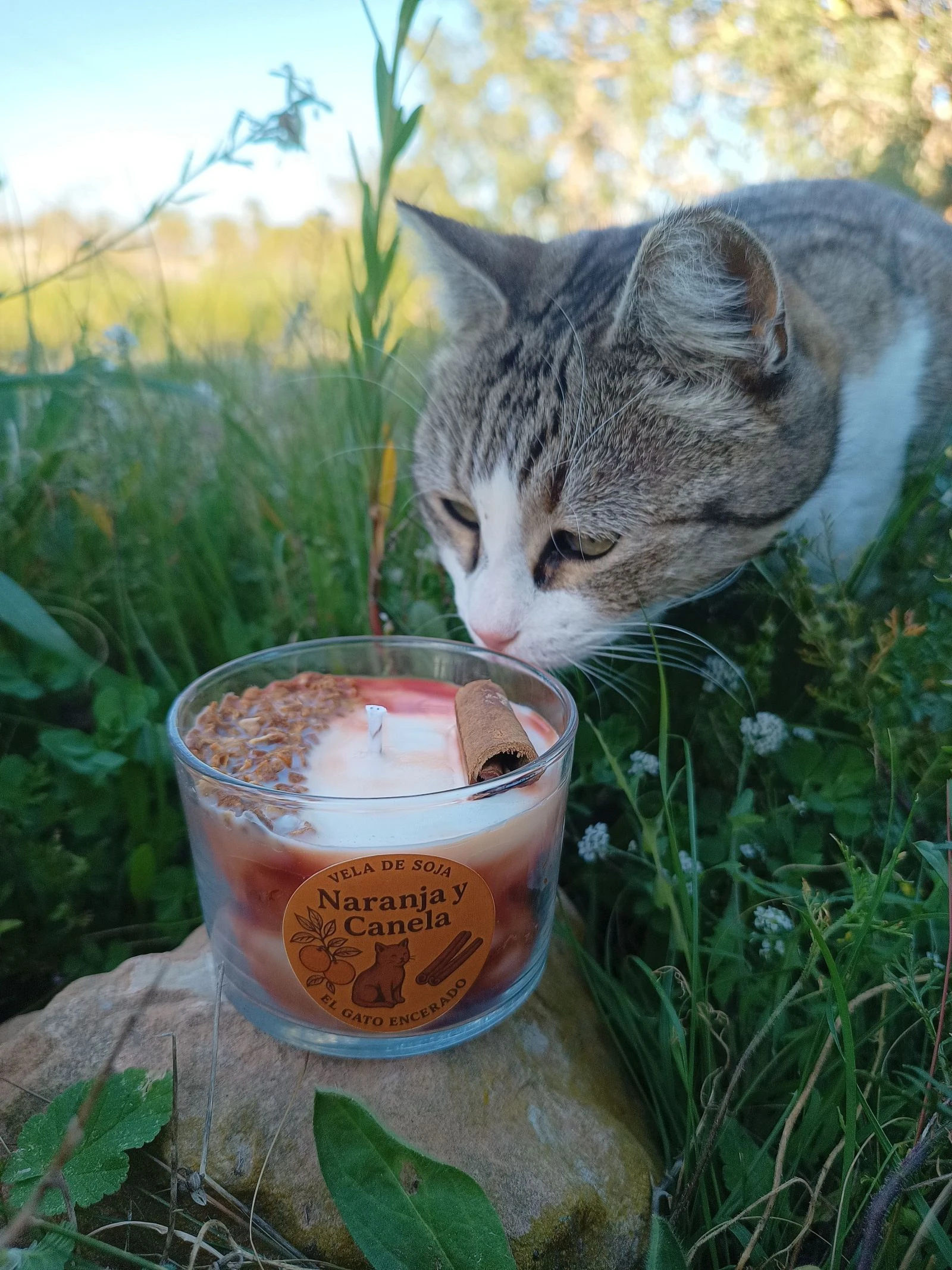 Vela Naranja y Canela